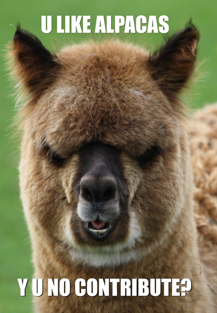 Alpaca